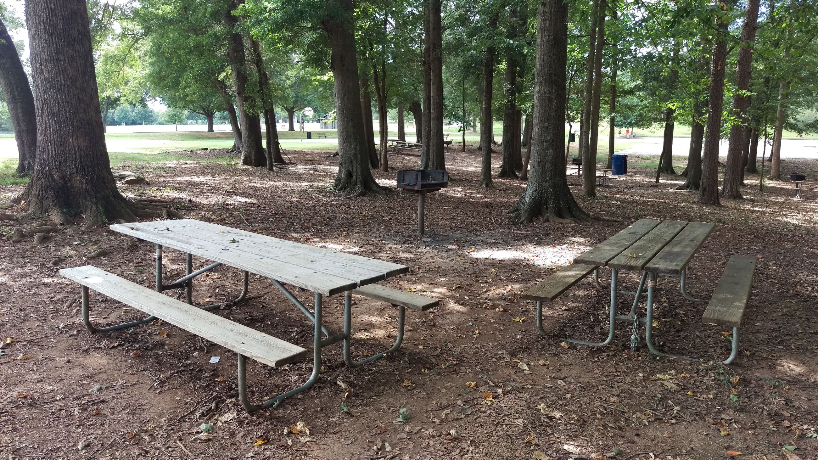 Photo of Picnic Area 3 at Sandy Creek Park.