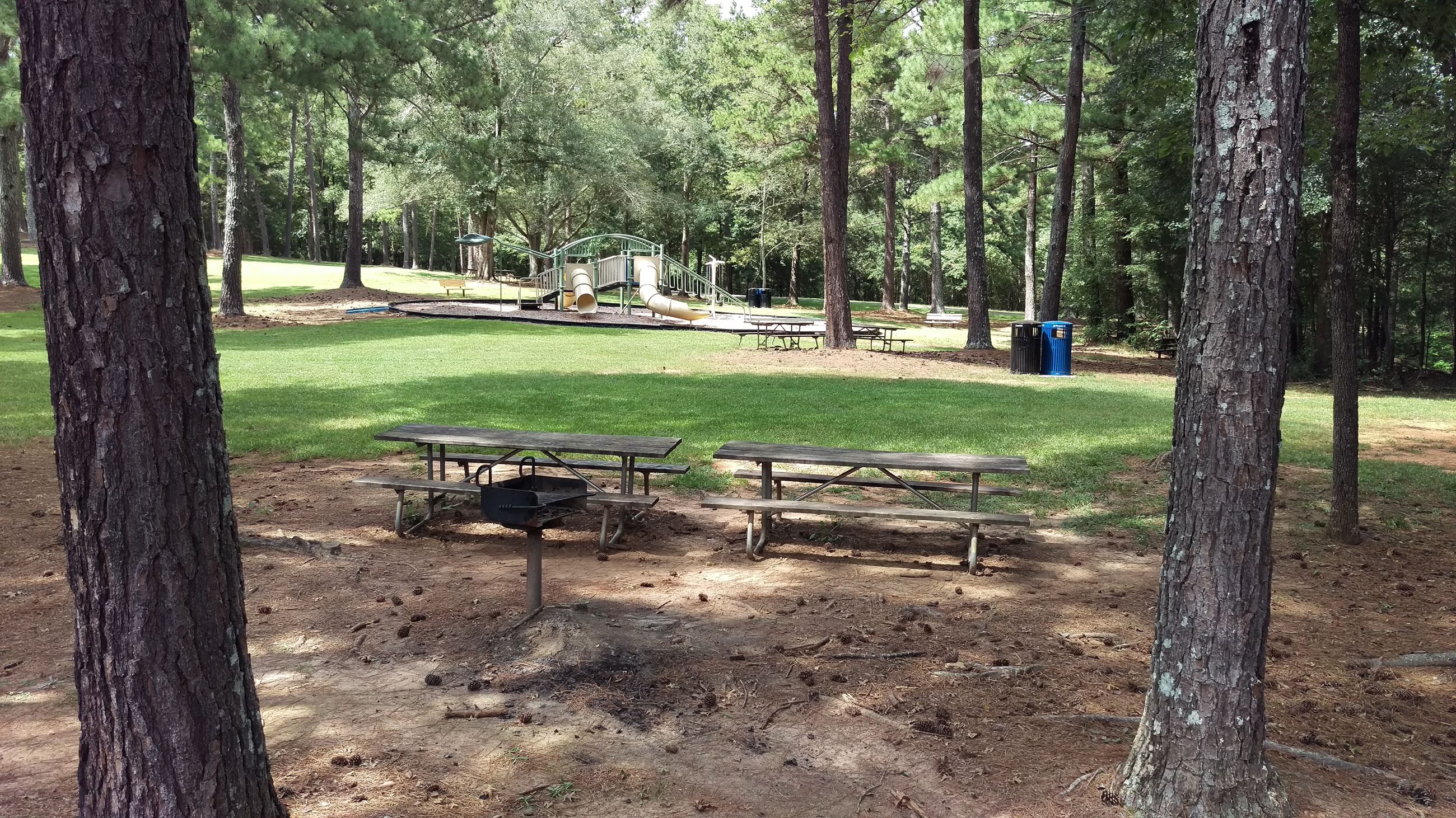 Photo of Picnic Area 5 at Sandy Creek Park.