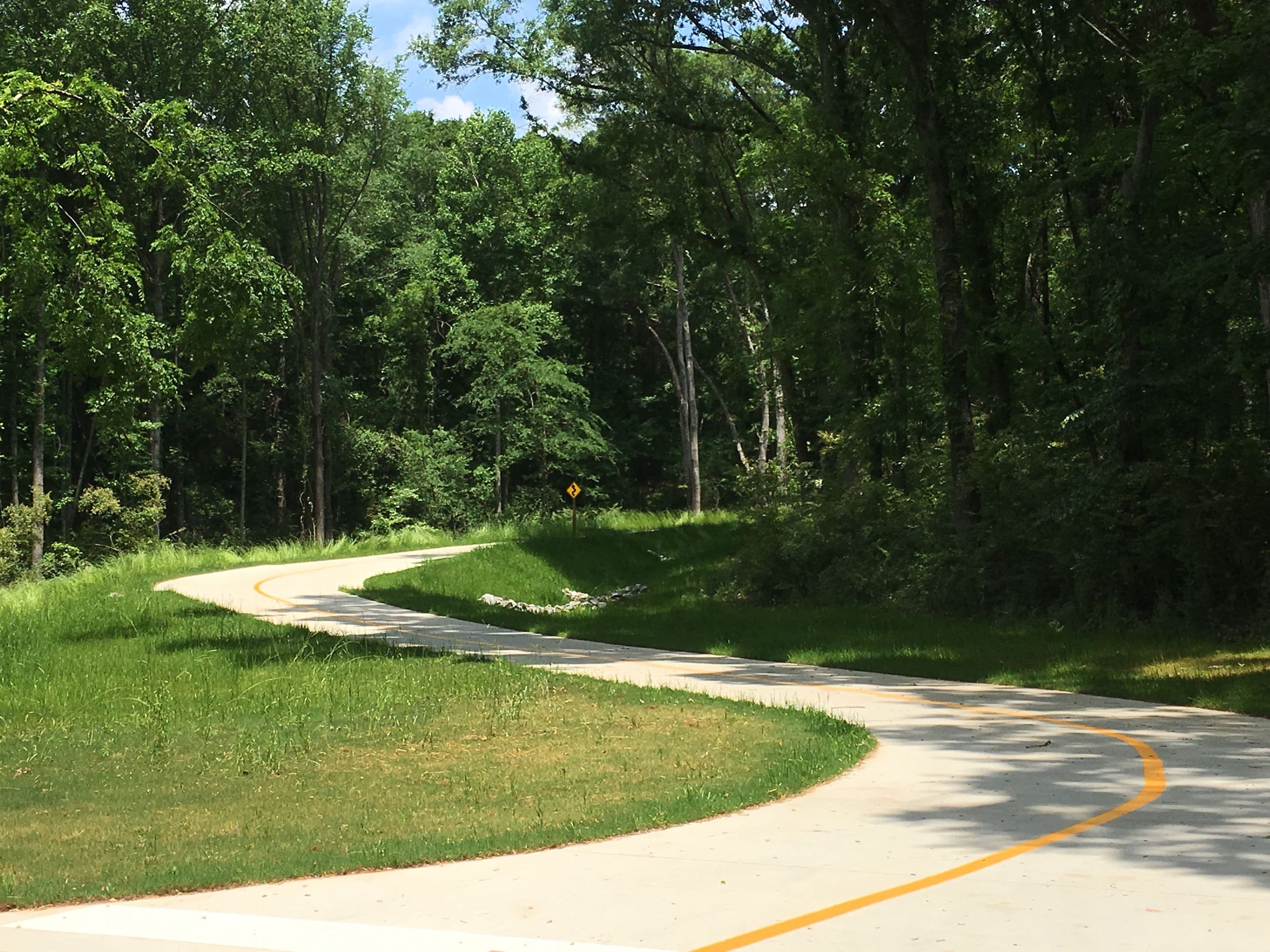 Multi purpose paved trail through forest