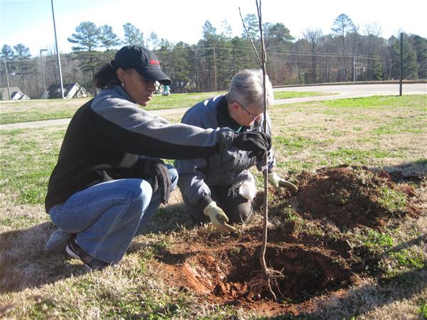 New orchard at Cedar Shoals