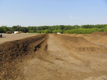 Compost windrows at the ACC Commercial Compost Facility
